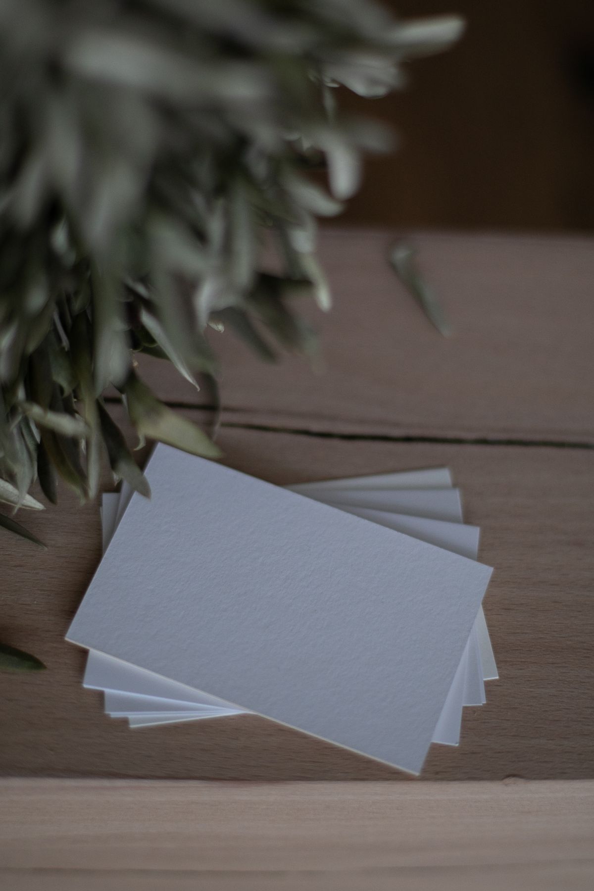 Tarjetas de presentación recién impresas